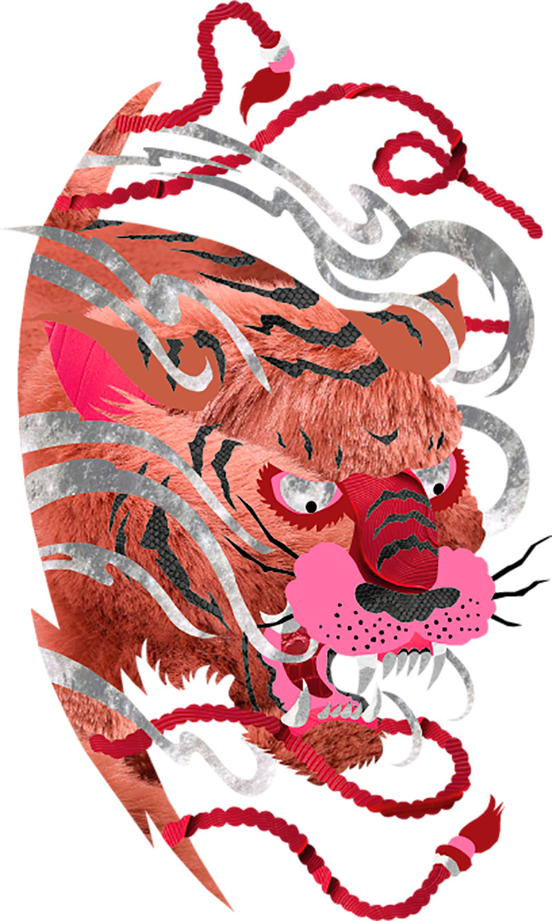 cours1-tigre-ss-contours